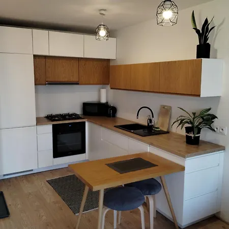 Park śląski M.10 Katowice/chorzów Apartament Chorzów