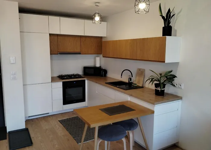 Park Slaski M.10 Katowice/chorzow דירה שורזוב